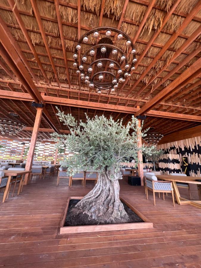 Năvodari Richy By The Sea Apartment מראה חיצוני תמונה